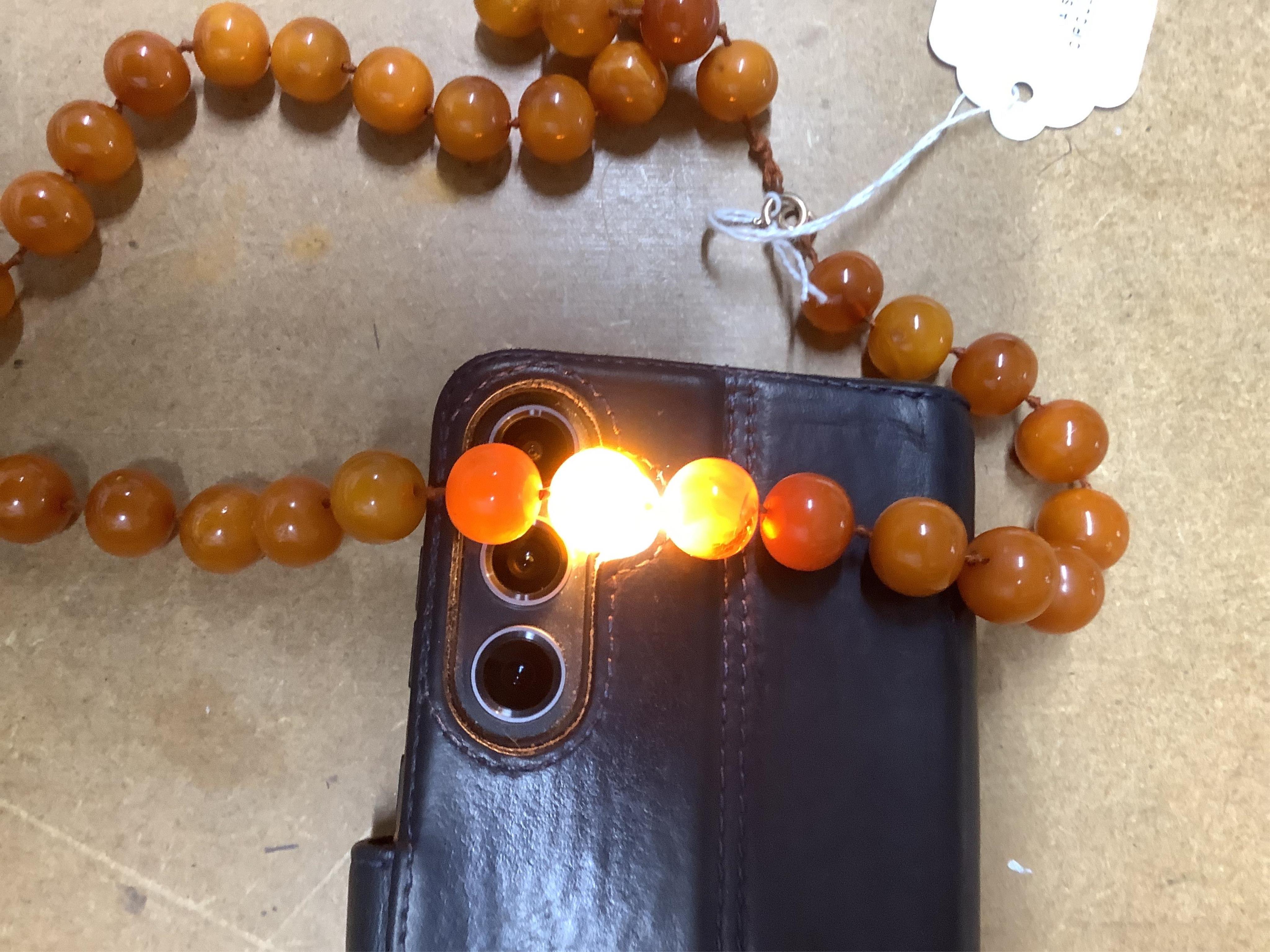 A single strand circular amber bead necklace, 56cm, gross weight 55 grams.